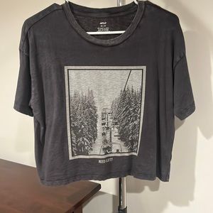 Aerie Tee Shirt